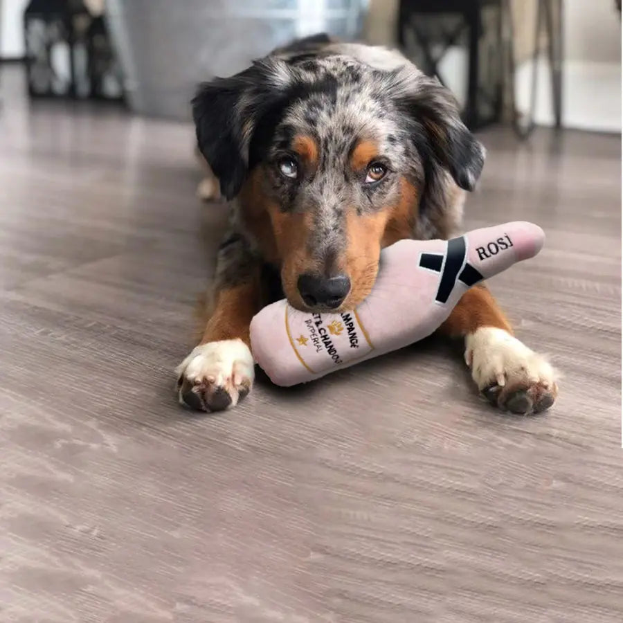 Home1992™ Whiskey Beer Dog Toy