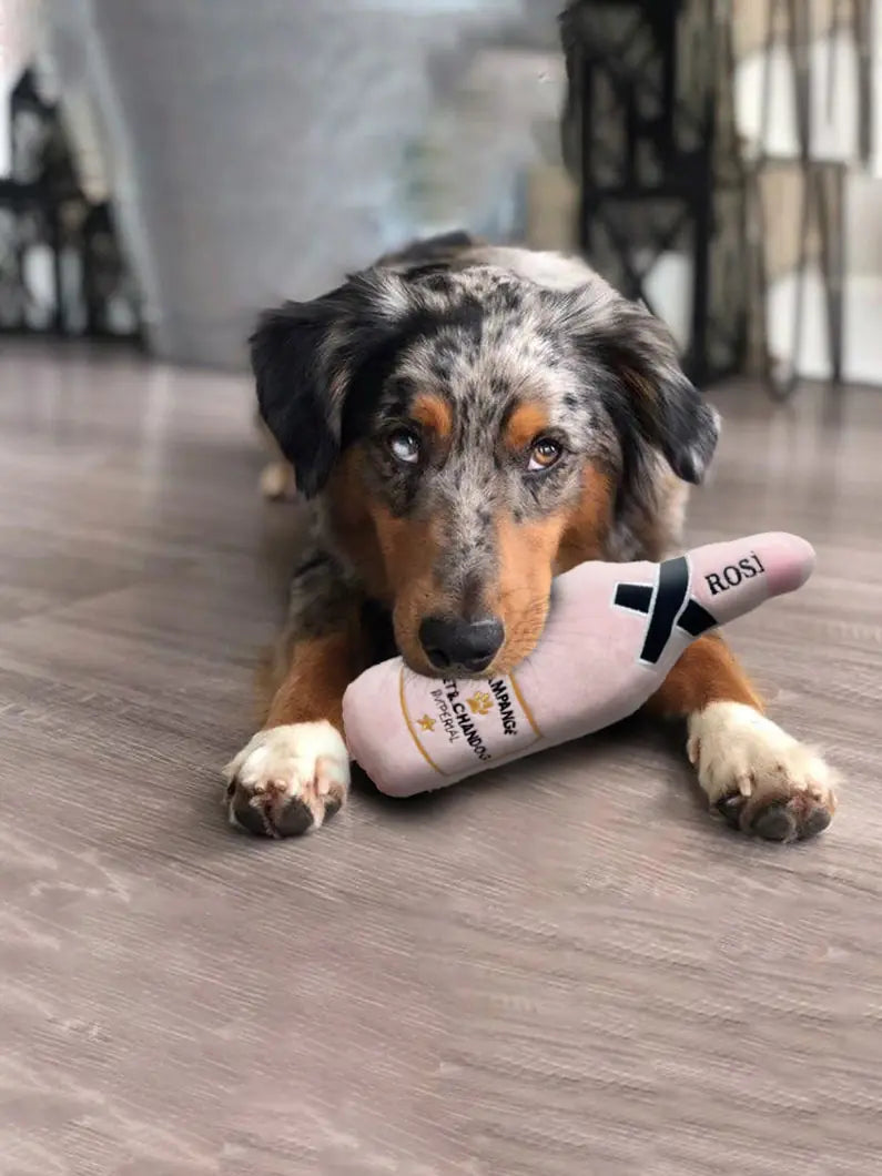 Home1992™ Whiskey Beer Dog Toy
