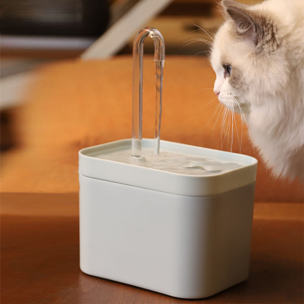 Home1992⢠Pet Water Dispenser