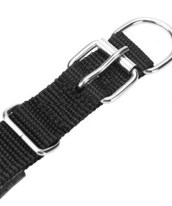 Home1992™ GPS Dog Collar