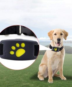 Home1992™ GPS Dog Collar